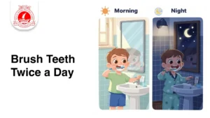 Brush Teeth Twice a Day 